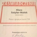 Powiększ obraz: certificate 15