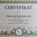 Powiększ obraz: certificate 11