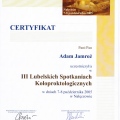 Powiększ obraz: certificate 16