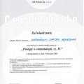 Powiększ obraz: certificate 11