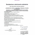 Powiększ obraz: certificate 7