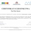 Powiększ obraz: certificate 8