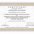 Powiększ obraz: certificate 8