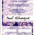 Powiększ obraz: certificate 3