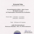 Powiększ obraz: certificate 4