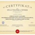 Powiększ obraz: certificate 2