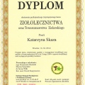 Powiększ obraz: certificate 4