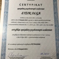 Powiększ obraz: certificate 1