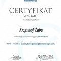 Powiększ obraz: certificate 39