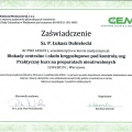 Powiększ obraz: certificate 28
