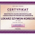 Powiększ obraz: certificate 5