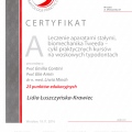 Powiększ obraz: certificate 40