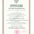 Powiększ obraz: certificate 1