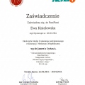 Powiększ obraz: certificate 4