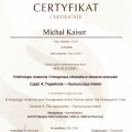 Powiększ obraz: certificate 7