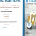 Powiększ obraz: certificate 7