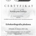 Powiększ obraz: certificate 3