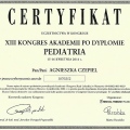 Powiększ obraz: certificate 9