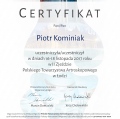 Powiększ obraz: certificate 10
