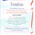 Powiększ obraz: certificate 15