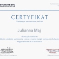 Powiększ obraz: certificate 26