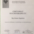 Powiększ obraz: certificate 1