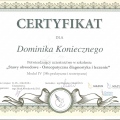 Powiększ obraz: certificate 11