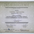 Powiększ obraz: certificate 4