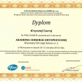 Powiększ obraz: certificate 4
