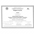 Powiększ obraz: certificate 5