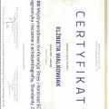 Powiększ obraz: certificate 7