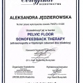 Powiększ obraz: certificate 5