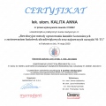 Powiększ obraz: certificate 13