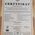 Powiększ obraz: certificate 4