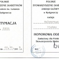 Powiększ obraz: certificate 11