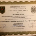 Powiększ obraz: certificate 24