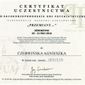 Powiększ obraz: certificate 9