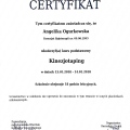 Powiększ obraz: certificate 3