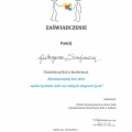 Powiększ obraz: certificate 32