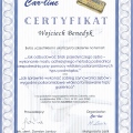 Powiększ obraz: certificate 12