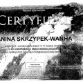 Powiększ obraz: certificate 3