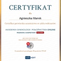 Powiększ obraz: certificate 2