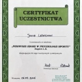 Powiększ obraz: certificate 6
