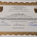 Powiększ obraz: certificate 11
