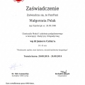 Powiększ obraz: certificate 1