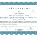 Powiększ obraz: certificate 3