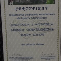 Powiększ obraz: certificate 37