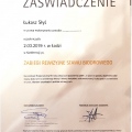 Powiększ obraz: certificate 10