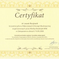 Powiększ obraz: certificate 43