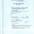 Powiększ obraz: certificate 15